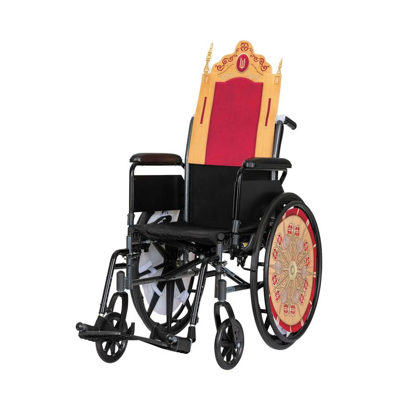 Kids Adaptive Wicked Nessa Rose Wheelchair Cover Costume Accessory