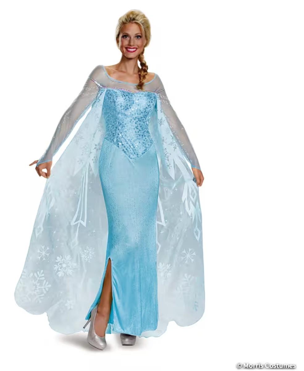 Adults Prestige Disney Frozen Elsa Dress Costume