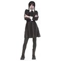 Adult's Creepy Coed Costume