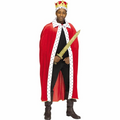 Adul Costume