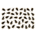 COCKROACHES 40PCS