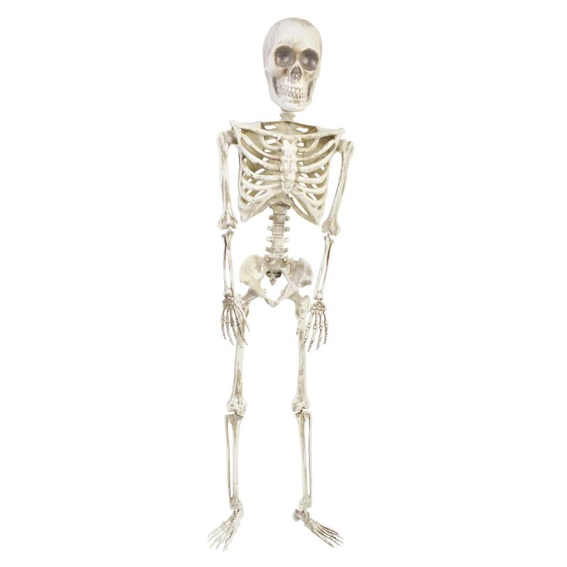 36" Posable Articulated Skeleton Halloween Decoration