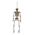 14" Posable Skeleton