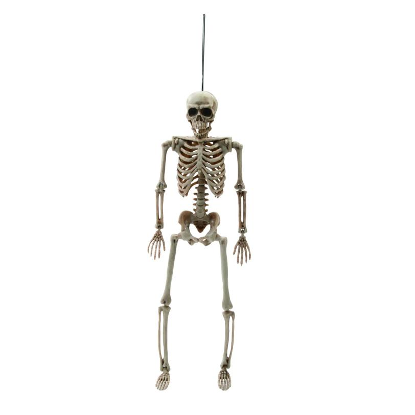 14" Posable Skeleton