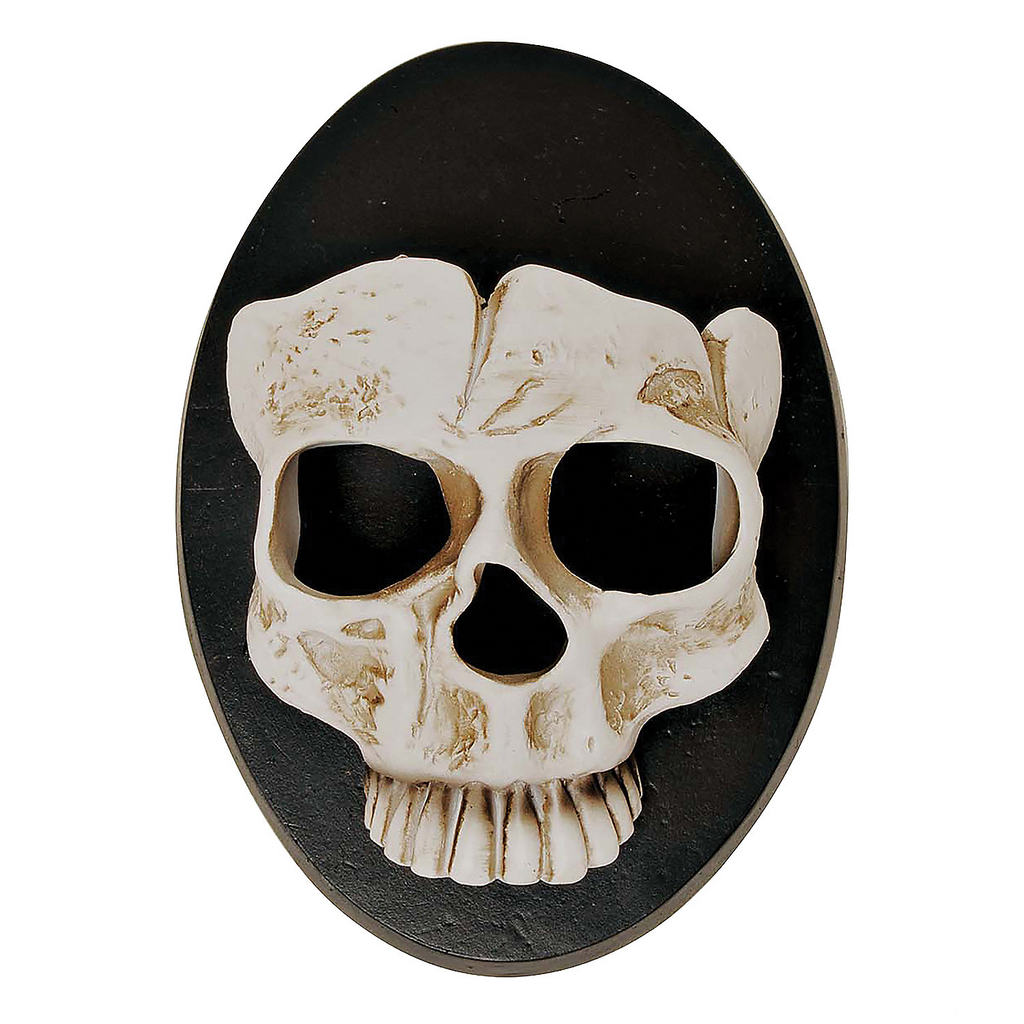 6" Skull Wall Sconce Halloween Dcor