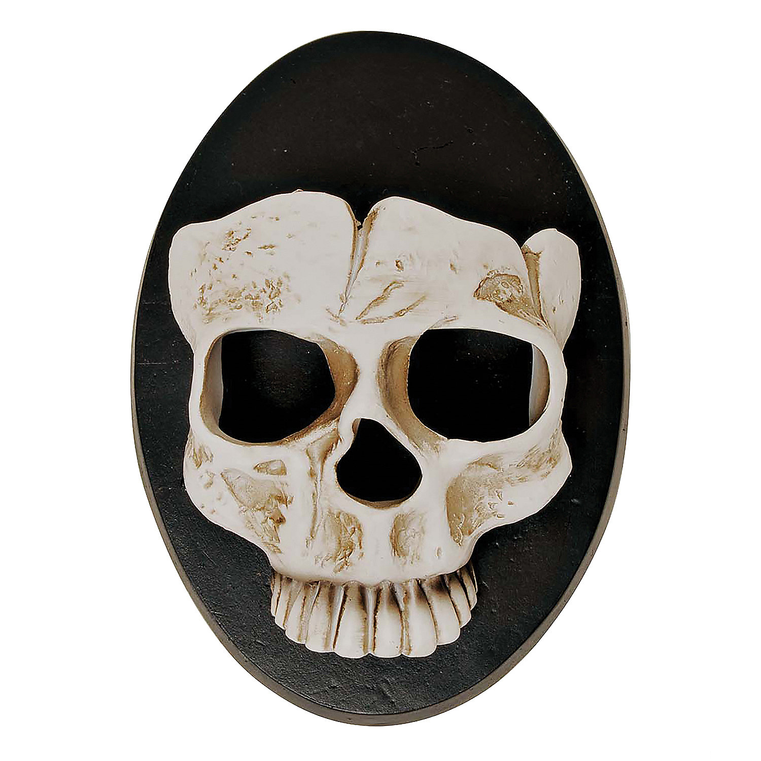 6" Skull Wall Sconce Halloween Dcor