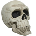 22" Giant Articulated Plastic Skull Halloween Decoration