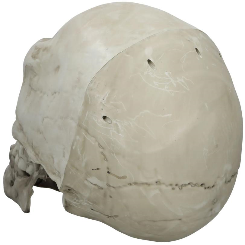 22" Giant Articulated Plastic Skull Halloween Decoration