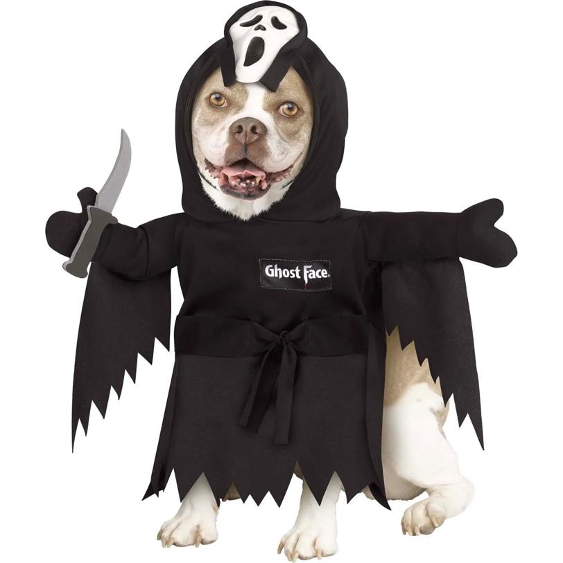 Kids and Adults Halloween Costumes | Online Halloween Store – CostumePub