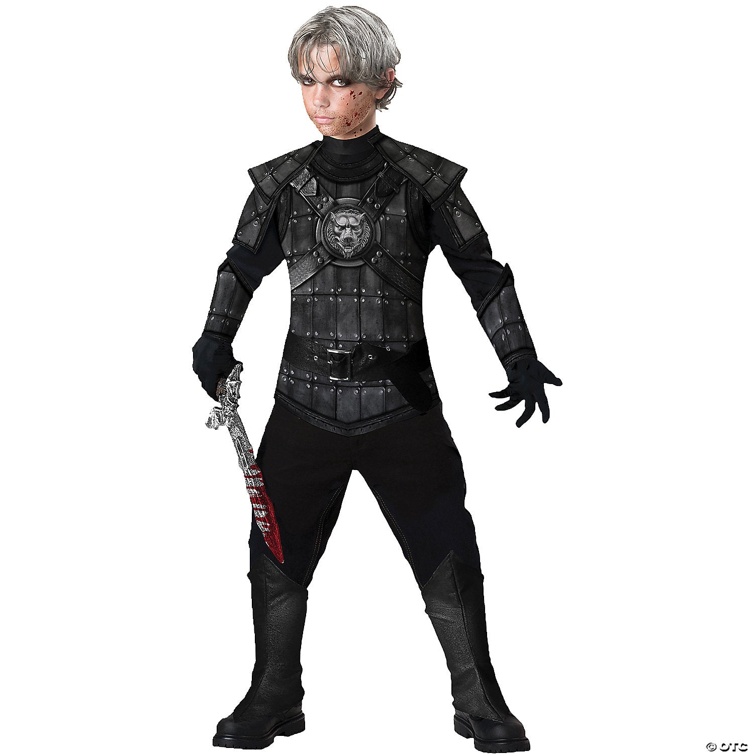 Monster Hunter Youth Costume