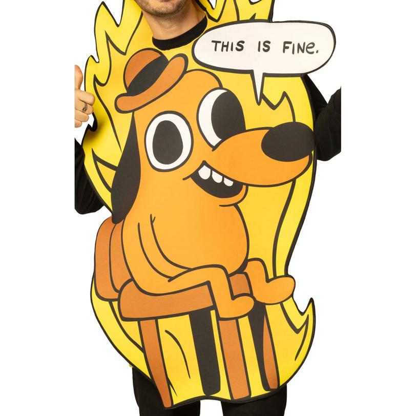 Adults This Is Fine Dog Meme Tunic Costume