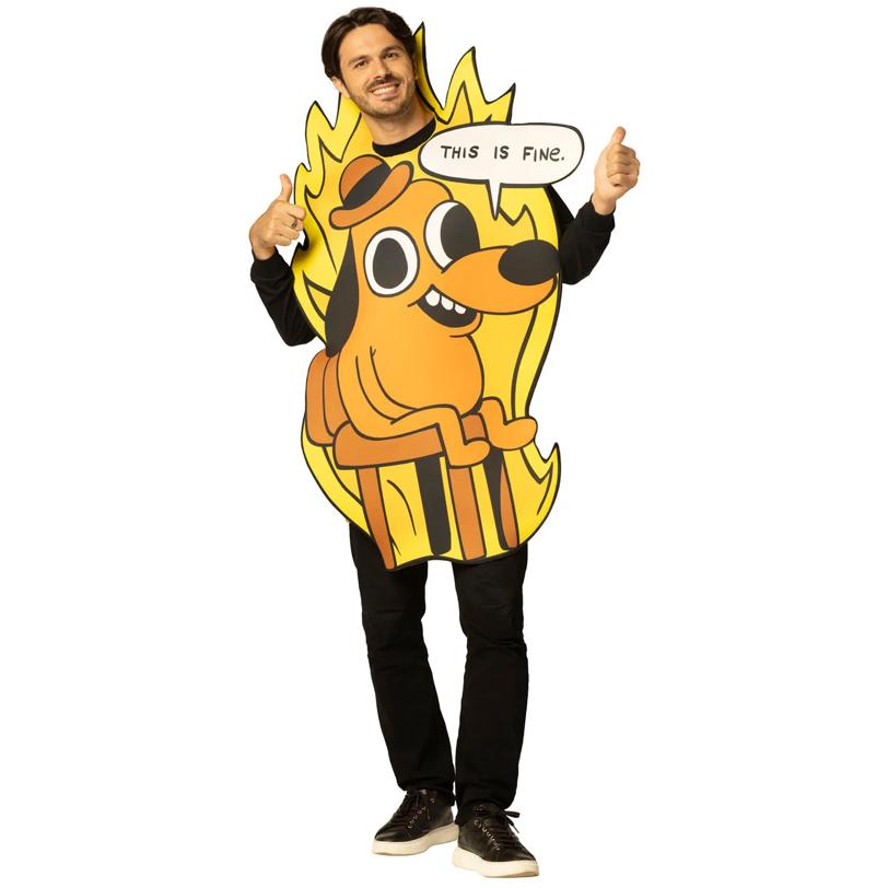 Adults This Is Fine Dog Meme Tunic Costume