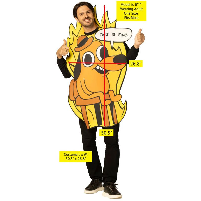 Adults This Is Fine Dog Meme Tunic Costume