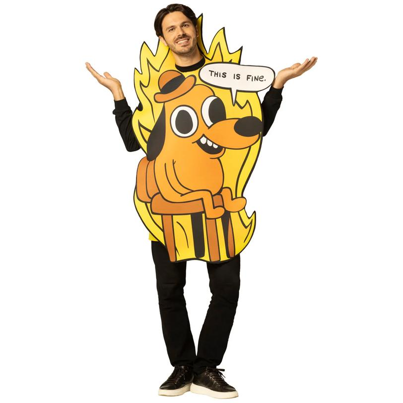 Adults This Is Fine Dog Meme Tunic Costume