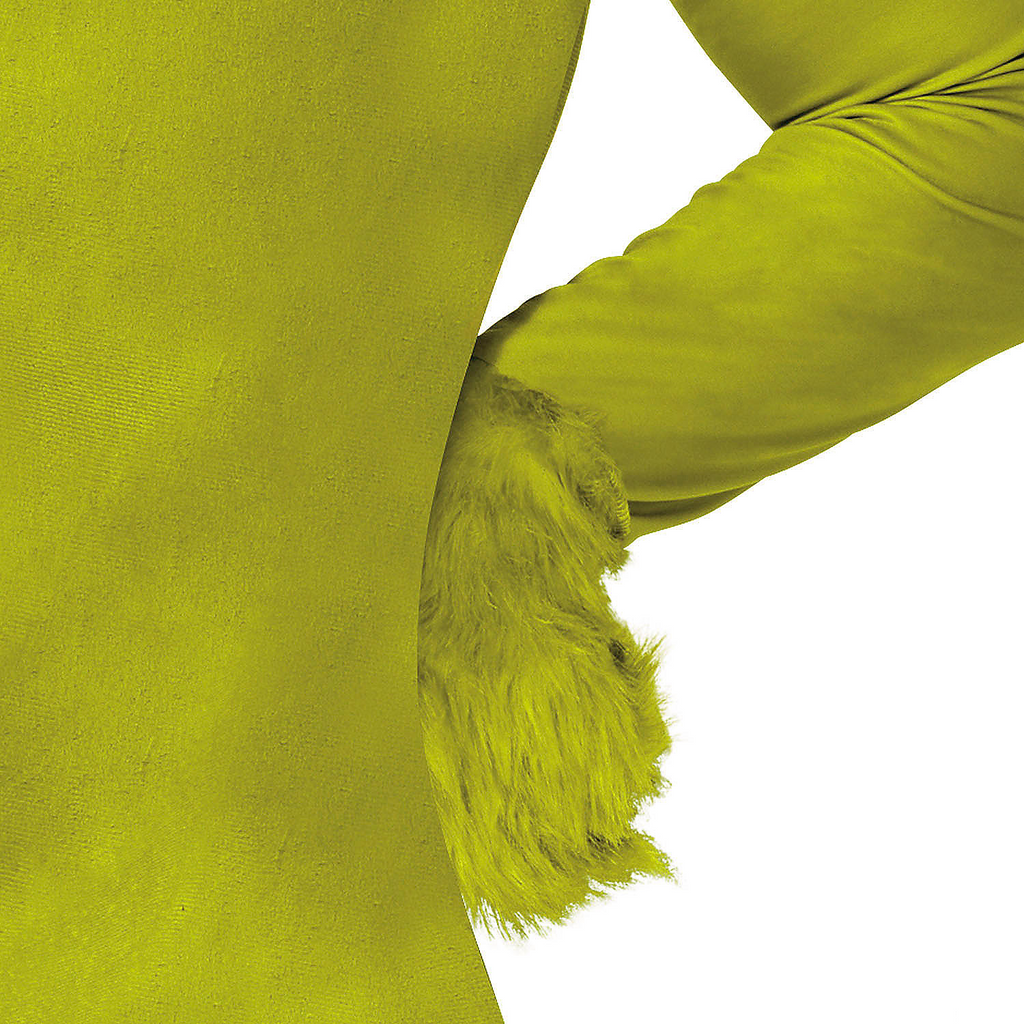 Adults Dr. Seuss How the Grinch Stole Christmas Grinch Costume