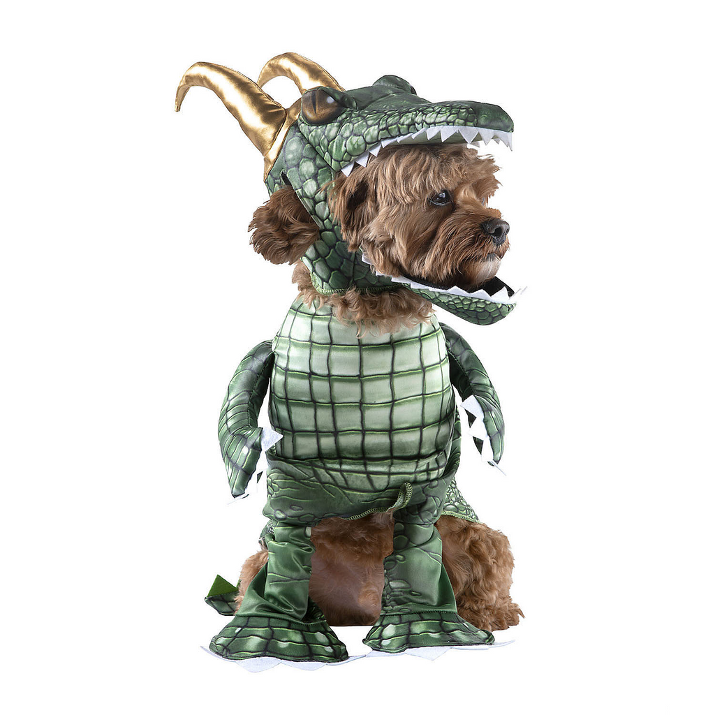 Alligator Loki Pet Costume