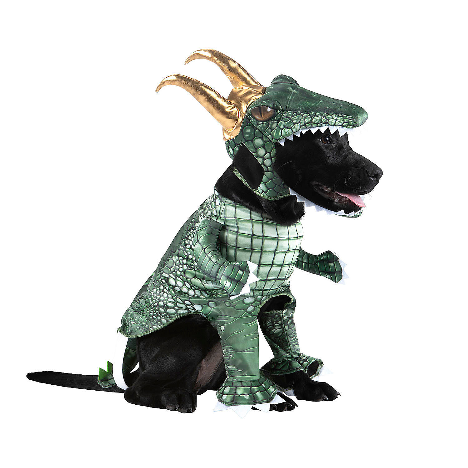 Alligator Loki Pet Costume