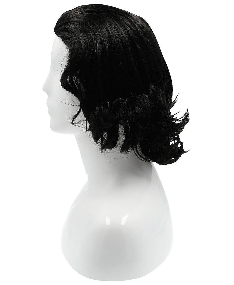 Beethoven Wig