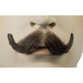 Discount Small English M10 Mustache - Synthetic