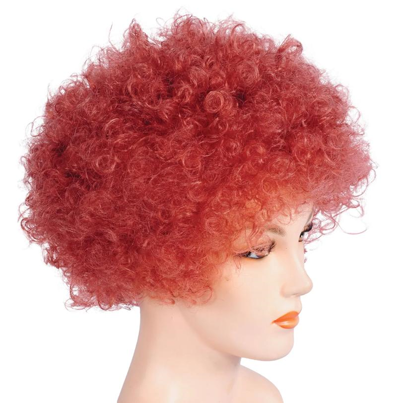 Bargain Afro Wig