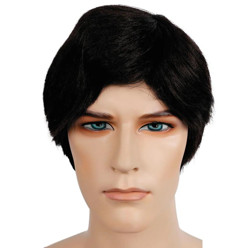 Special Bargain Men's Wig