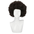 Afro Wig