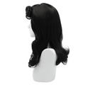 Barbra S Wig