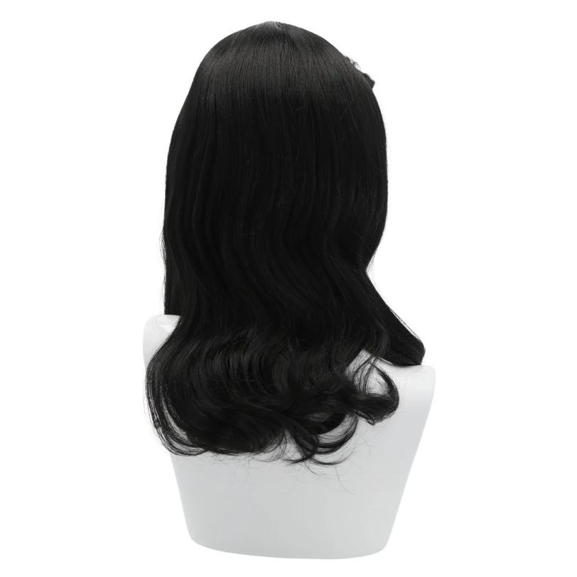 Barbra S Wig