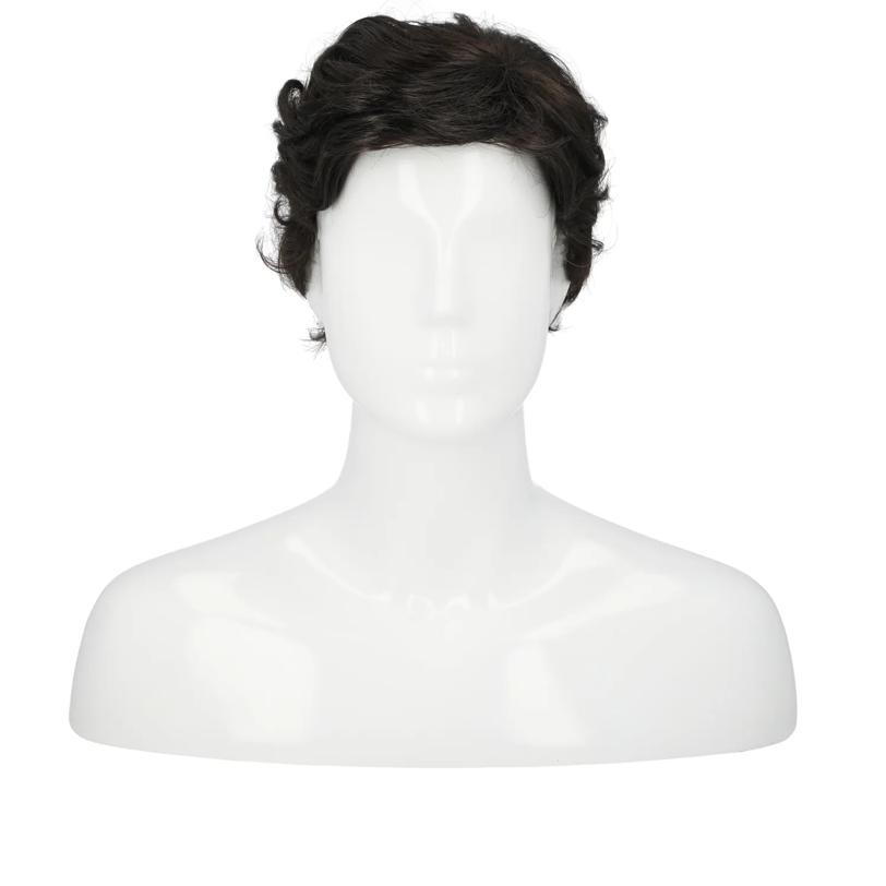 Men's Greaser Wig