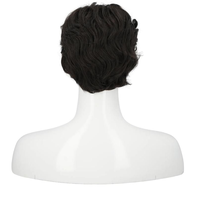 Men's Greaser Wig