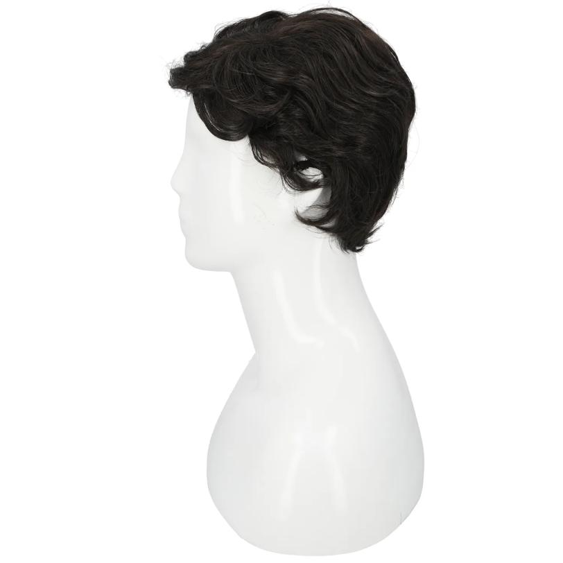 Men's Greaser Wig