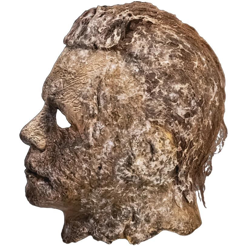 Halloween Ends Michael Myers Mask