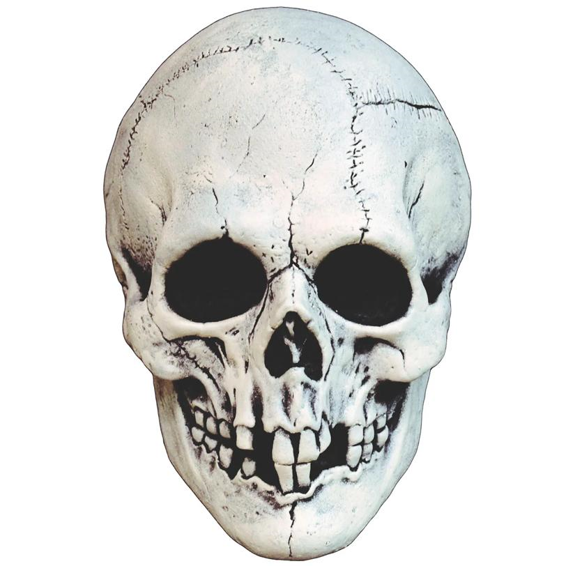 Adults White Night Owl Skull Plastic Overhead Mask