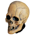 Adults Mabry Monsters Aged Voodoo Skull Overhead Vinyl Mask