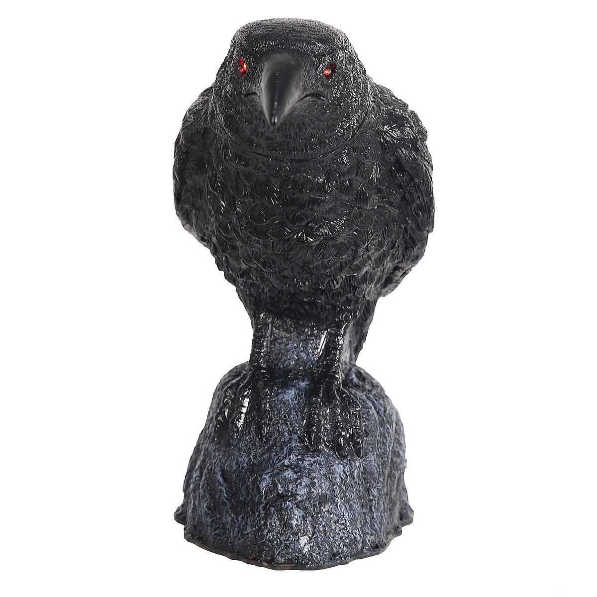RAVEN HEAD TURNING W SOUND