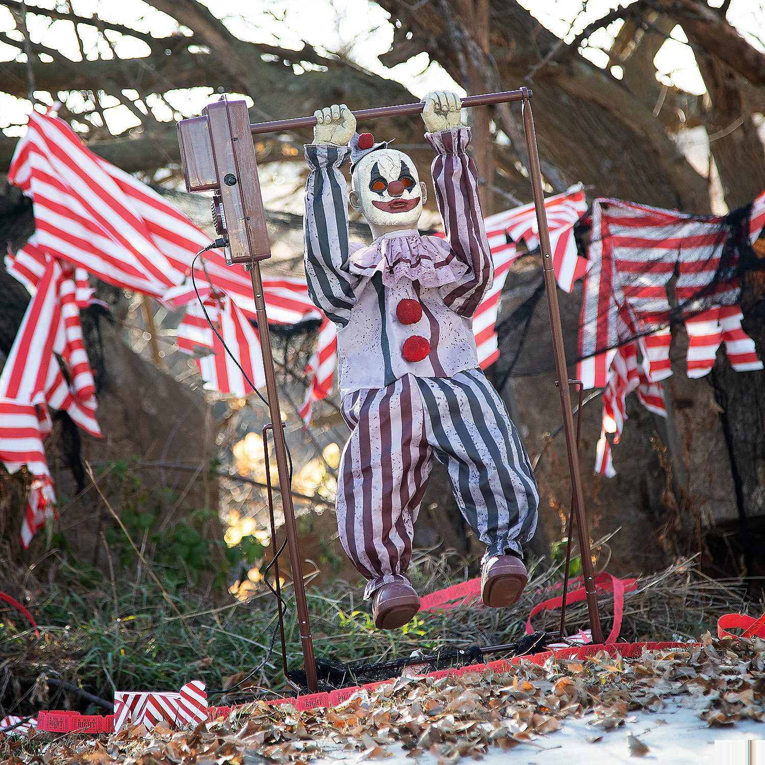 Animated Tumbling Clown Doll