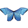 Blue Morph Wings