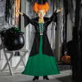3 Ft. Hocus Pocus Winifred Sanderson Medium Posable Hanging Halloween Decoration