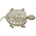 TURTLE SKELETON