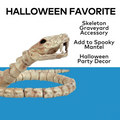 Slithering Snake Plastic Skeleton Halloween Decoration 12 1/4"