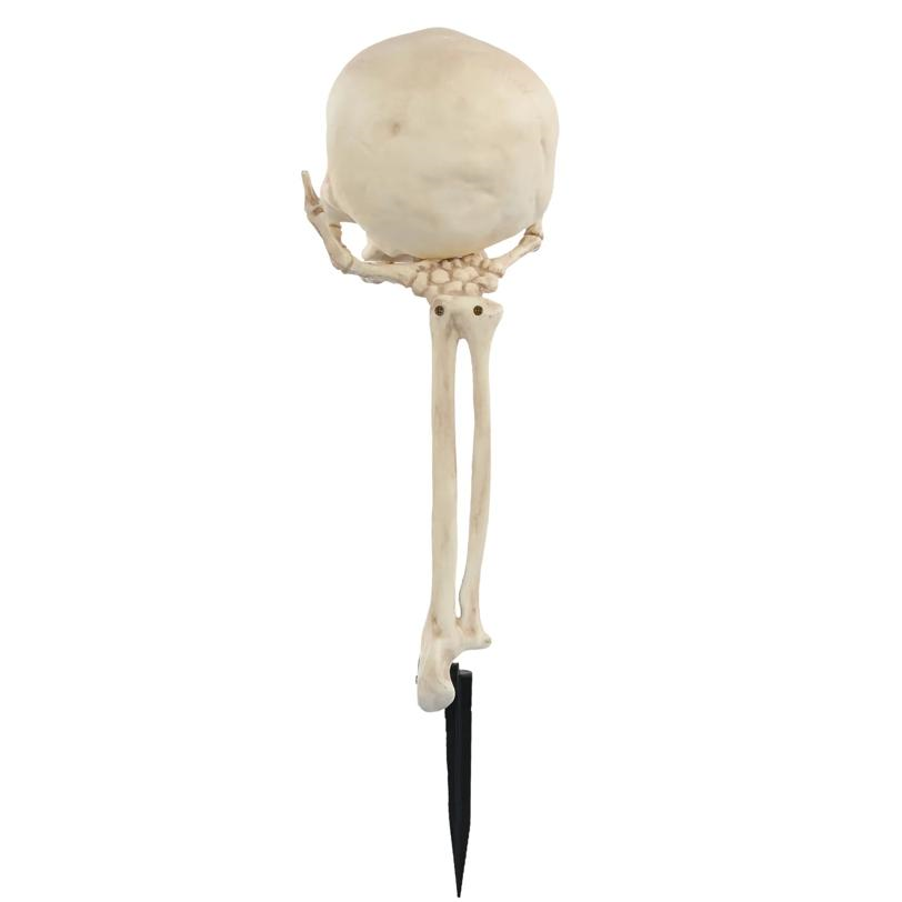 Skull in Hand Groundbreaker