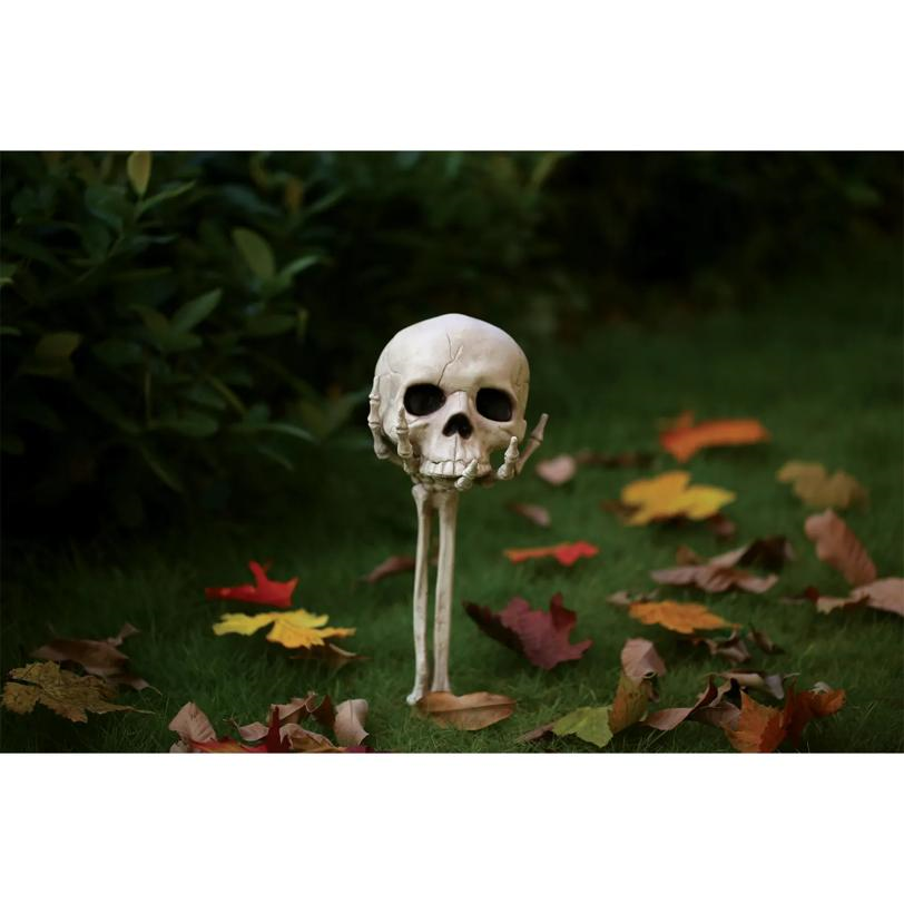 Skull in Hand Groundbreaker