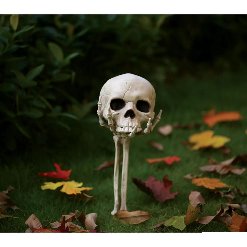 Skull in Hand Groundbreaker