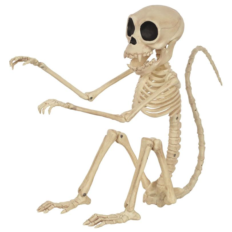 SKELETON MONKEY