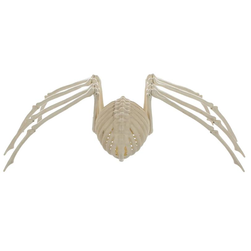 Skeleton Spider Prop