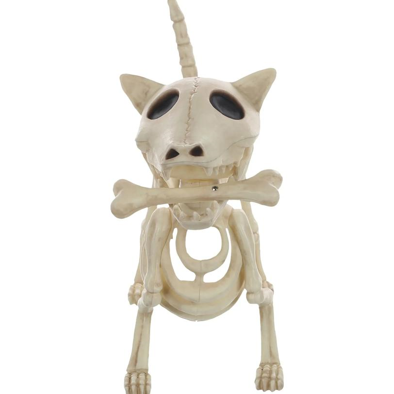 Digger the Skeleton Dog