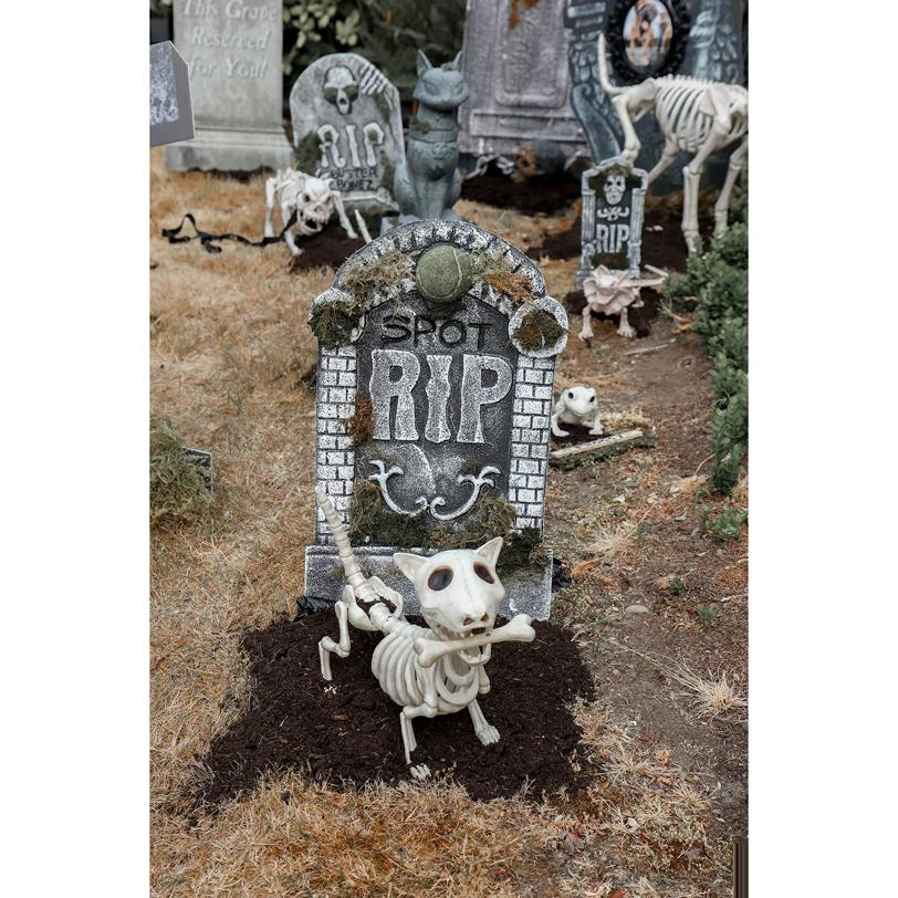 Digger the Skeleton Dog