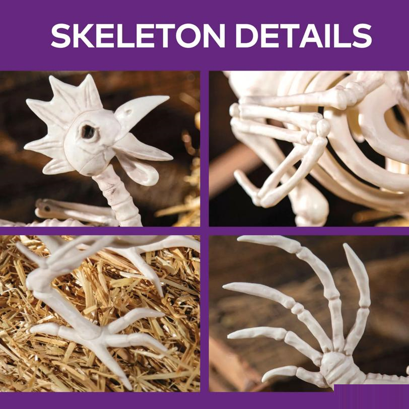 12 1/2" Rooster Skeleton Halloween Tabletop Decoration