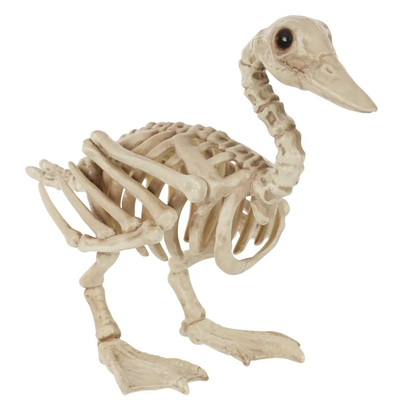 Skeleton Duck Bonez Prop