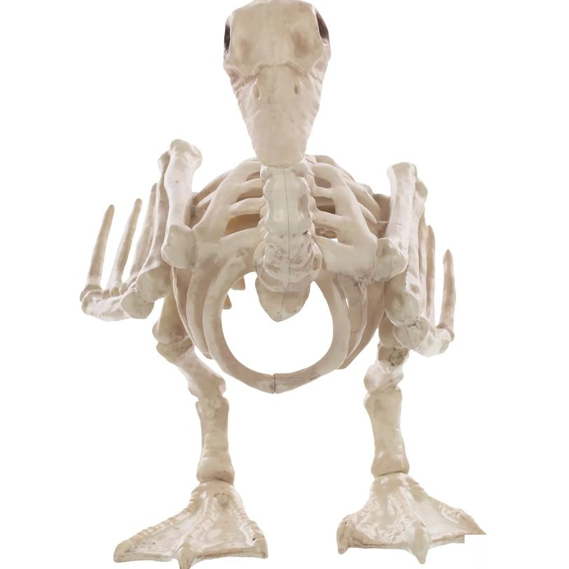 Skeleton Baby Duck Prop
